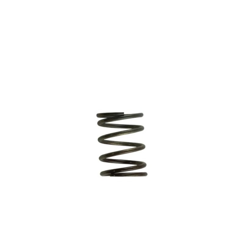 Turbosmart WG40 5PSI Inner Spring Brown/Grey