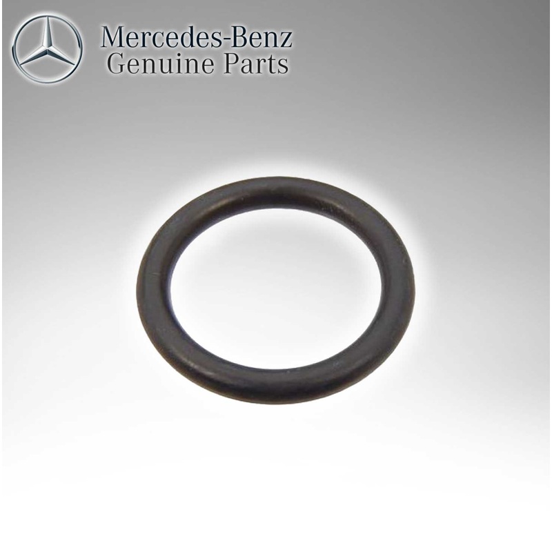 Mercedes Benz Genuine Fuel Filter O Ring 6019970148