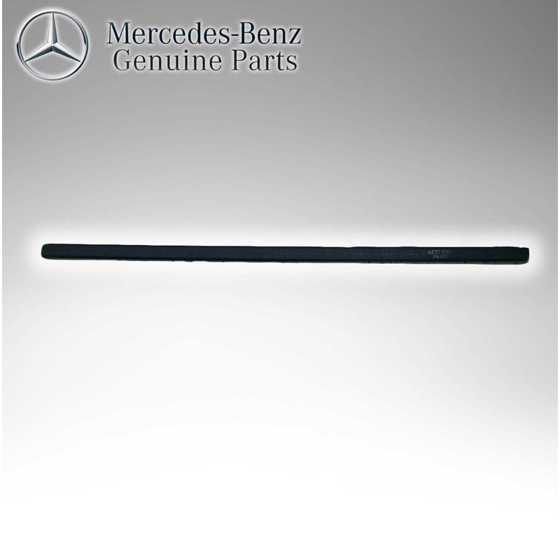 Mercedes Benz Genuine Bumper Molding 2206900962